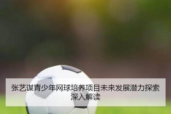 张艺谋青少年网球培养项目未来发展潜力探索深入解读