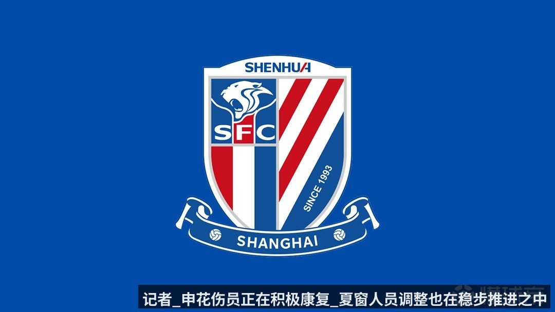 记者_申花伤员正在积极康复_夏窗人员调整也在稳步推进之中